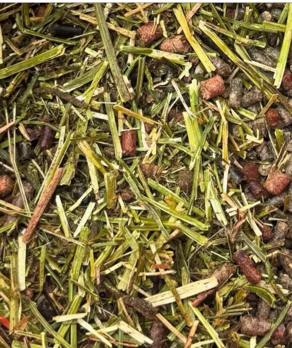Equid' FIBRE FREE