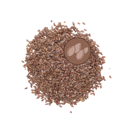 Graines de Lin étuvées