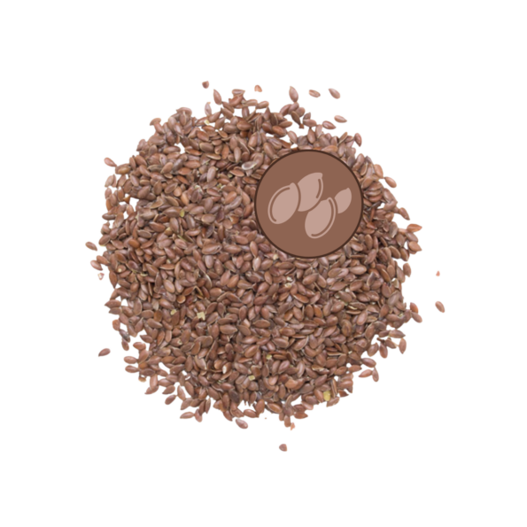 Graines de Lin étuvées