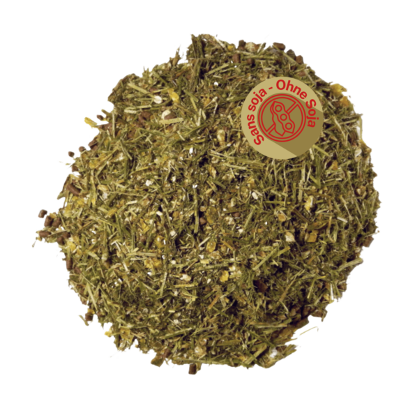 Rumifloc Vaches sans soja